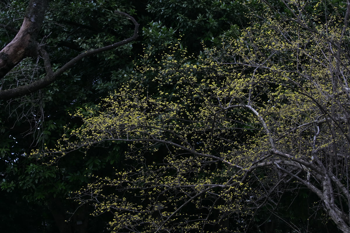 a0083081_17552759.jpg