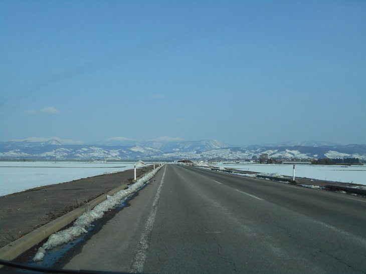 c0198781_106737.jpg