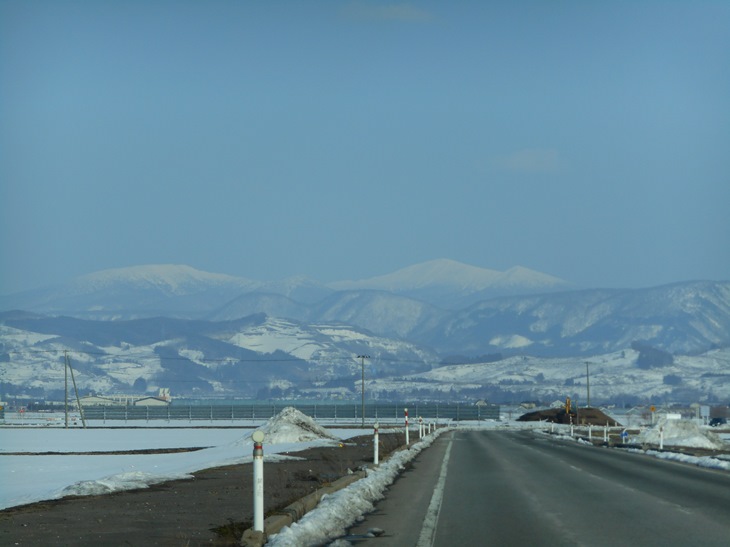 c0198781_10794.jpg