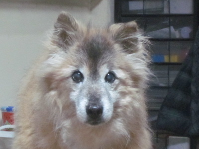 f0005081_23214847.jpg