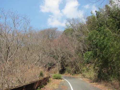 a0251786_1915935.jpg