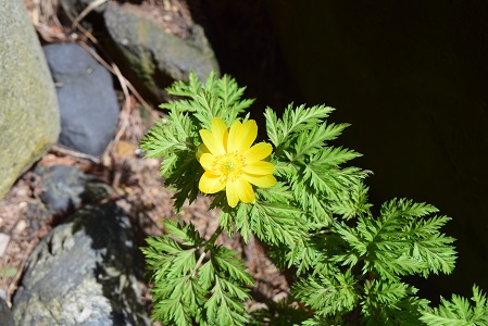 c0187298_23582396.jpg