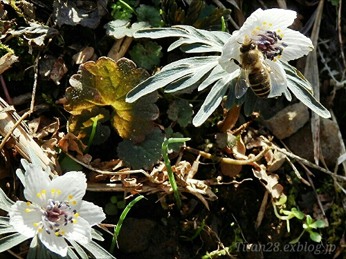 b0099813_11817100.jpg