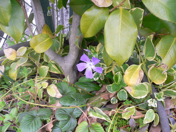 a0249215_18443818.jpg
