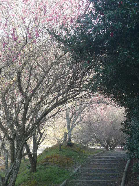 e0026017_15371688.jpg