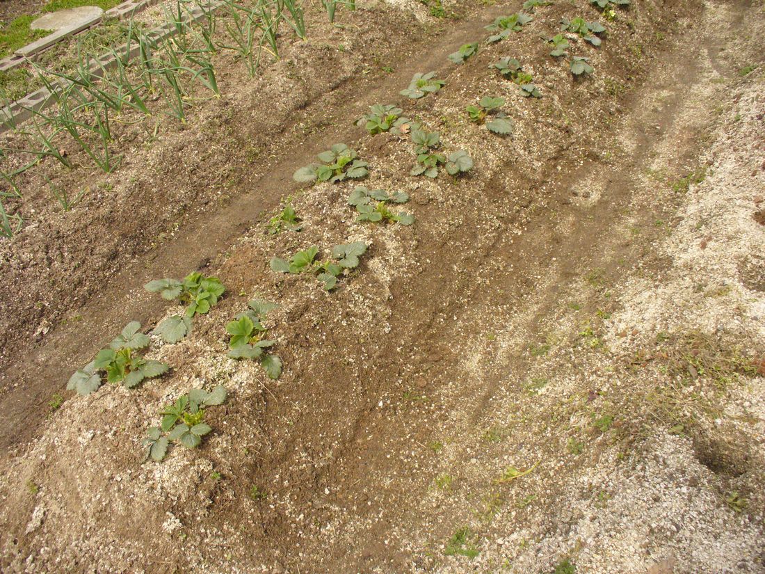 f0346527_22105874.jpg