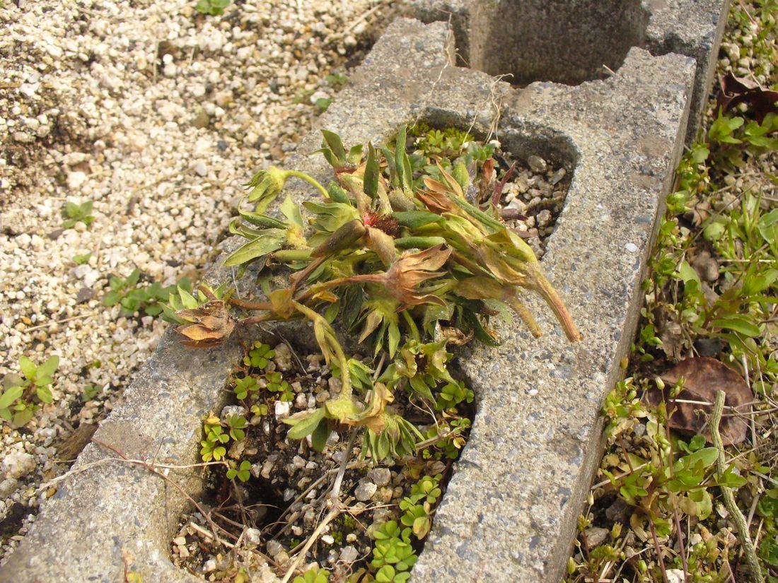f0346527_2244914.jpg