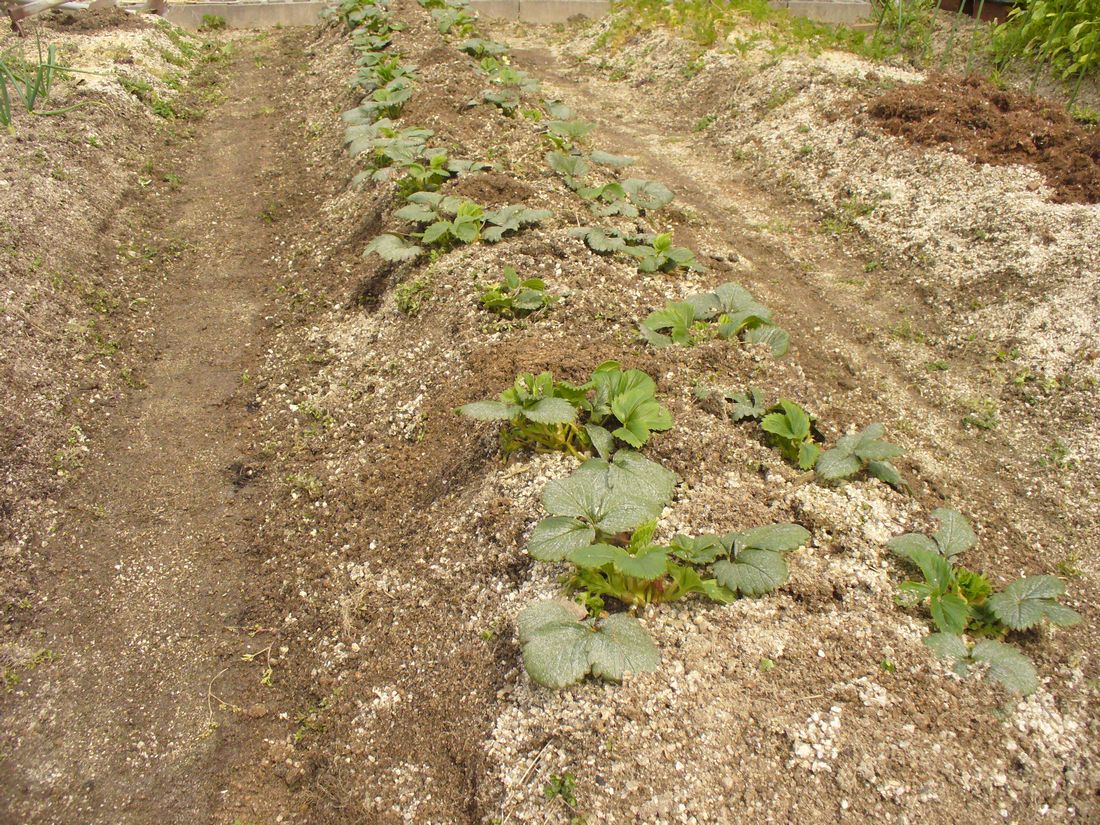 f0346527_225473.jpg