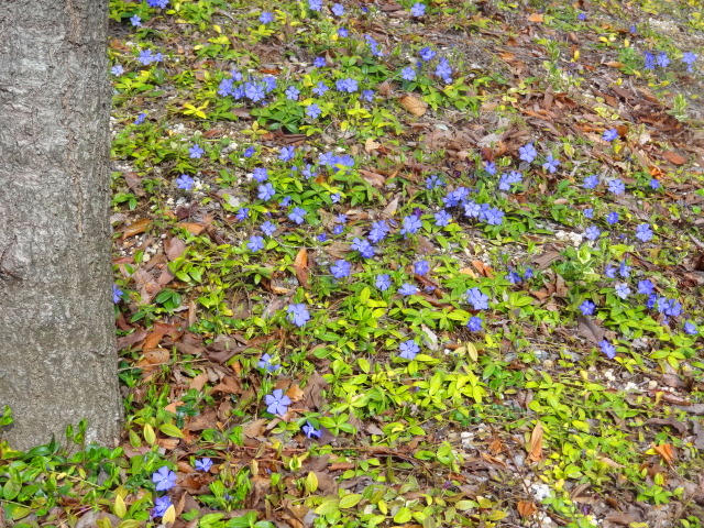 e0016828_11151229.jpg