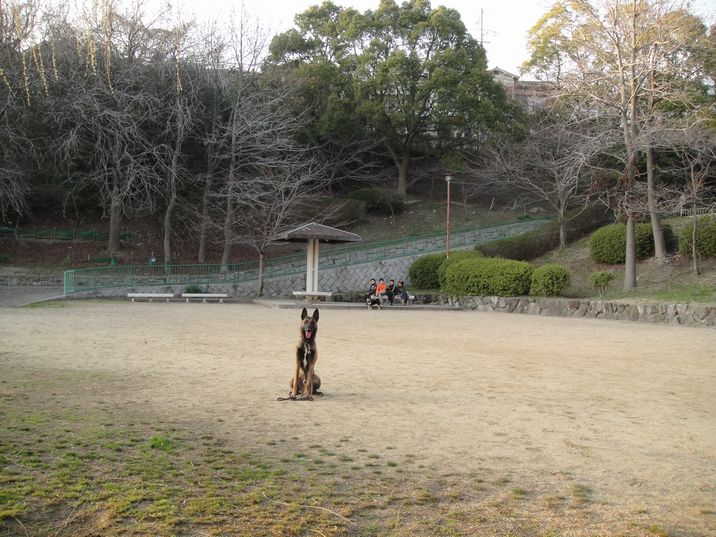 f0088731_22564931.jpg