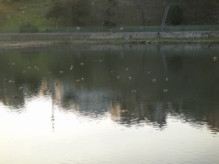 f0088731_2257376.jpg