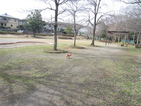 f0002833_14285782.jpg