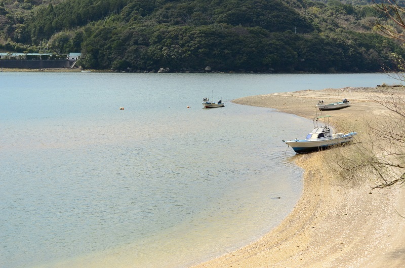 b0288942_926621.jpg