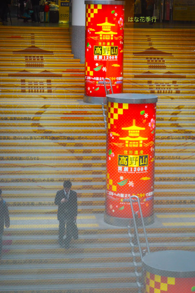 d0036450_17185263.jpg