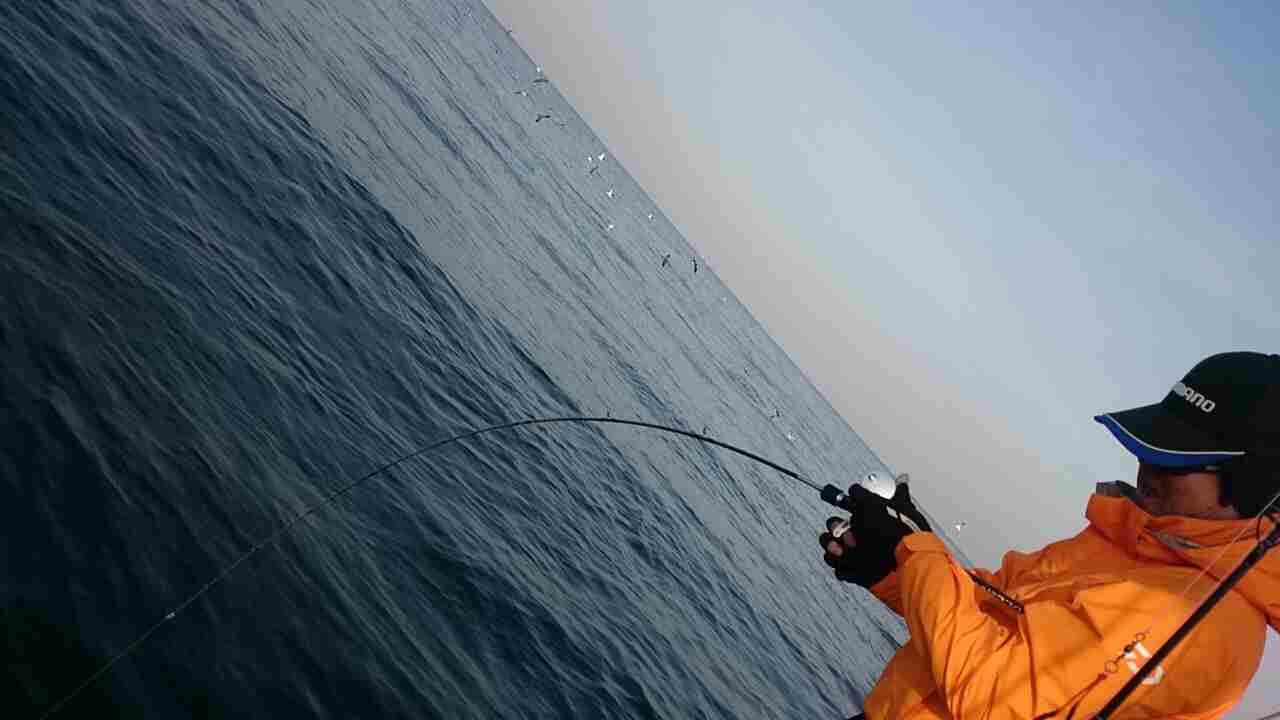 a0248152_18112953.jpg