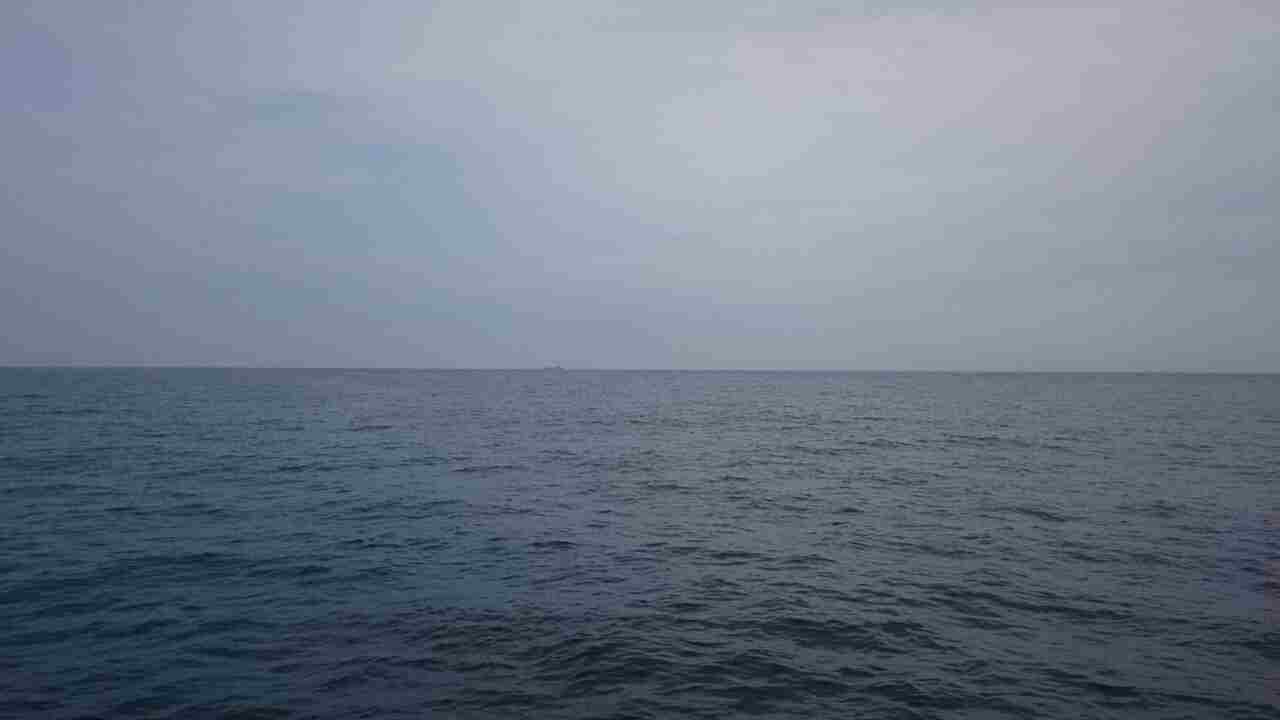 a0248152_18155152.jpg