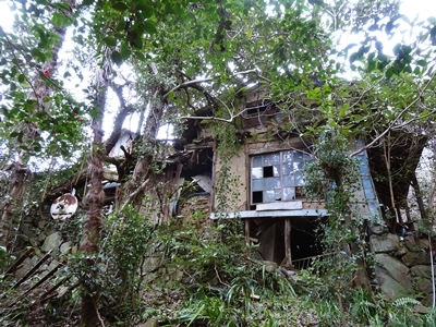 e0264374_12304172.jpg