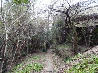 e0264374_12304896.jpg