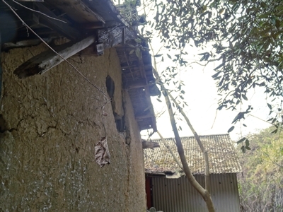 e0264374_14291188.jpg