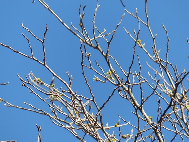 f0357487_22125993.jpg