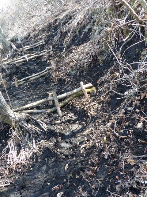 f0357487_22201396.jpg