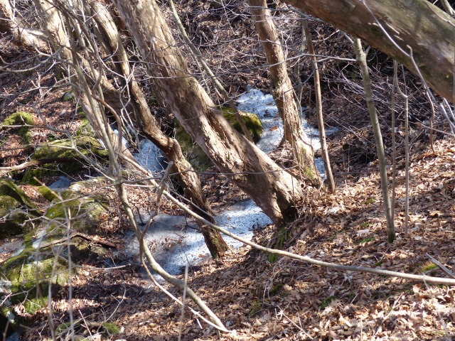 f0357487_22204338.jpg