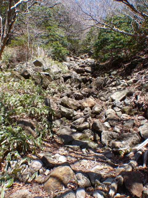 f0357487_22302765.jpg