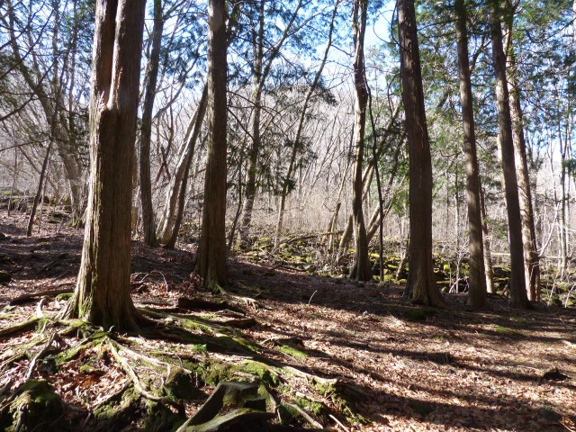 f0357487_2232636.jpg