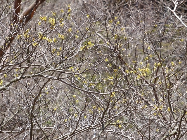 f0357487_22425378.jpg