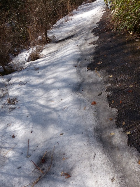 f0357487_2242572.jpg