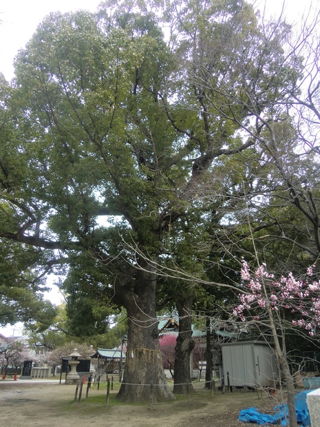 b0044296_14411036.jpg