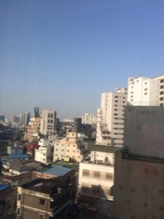 b0160300_08231986.jpg