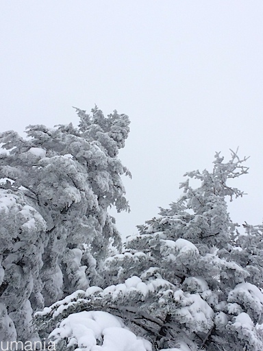 b0061004_13211786.jpg