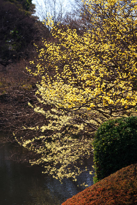 a0263109_13131190.jpg