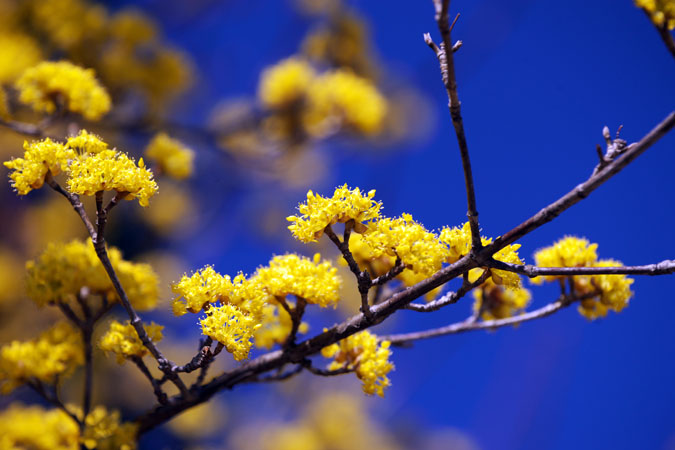 a0263109_1313135.jpg