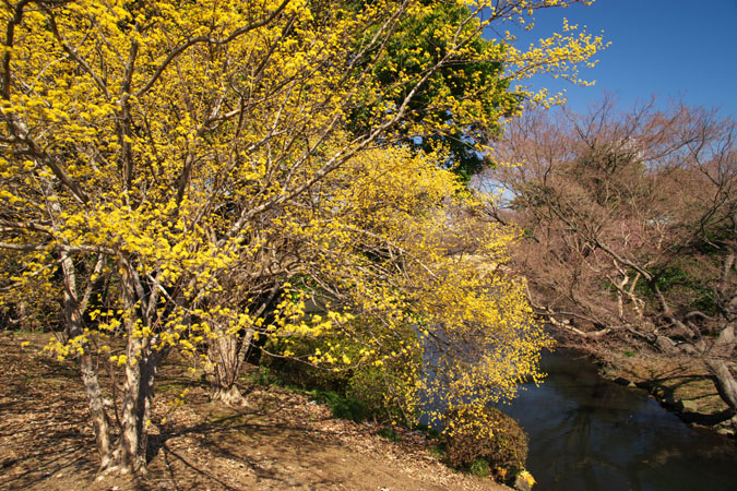 a0263109_13133668.jpg