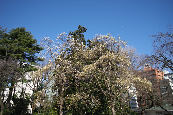 a0263109_1363464.jpg