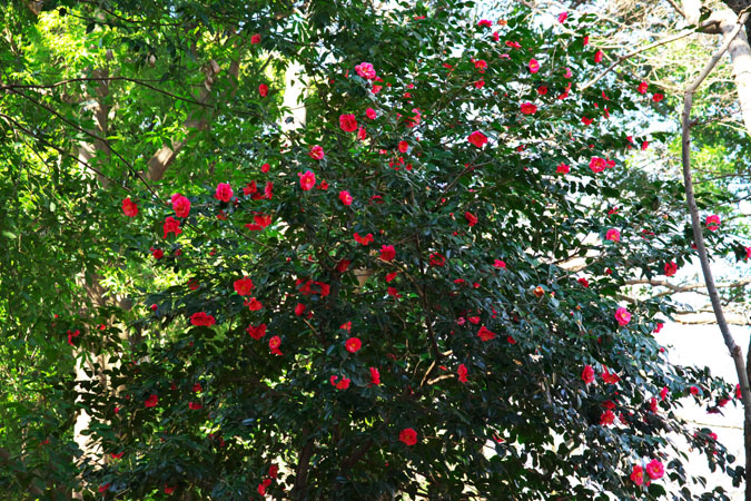 a0263109_136374.jpg