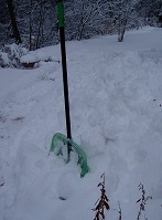 b0200310_2131952.jpg