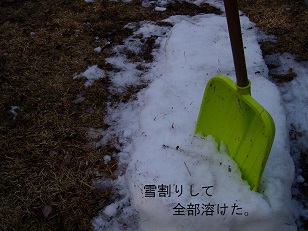 b0200310_21321335.jpg