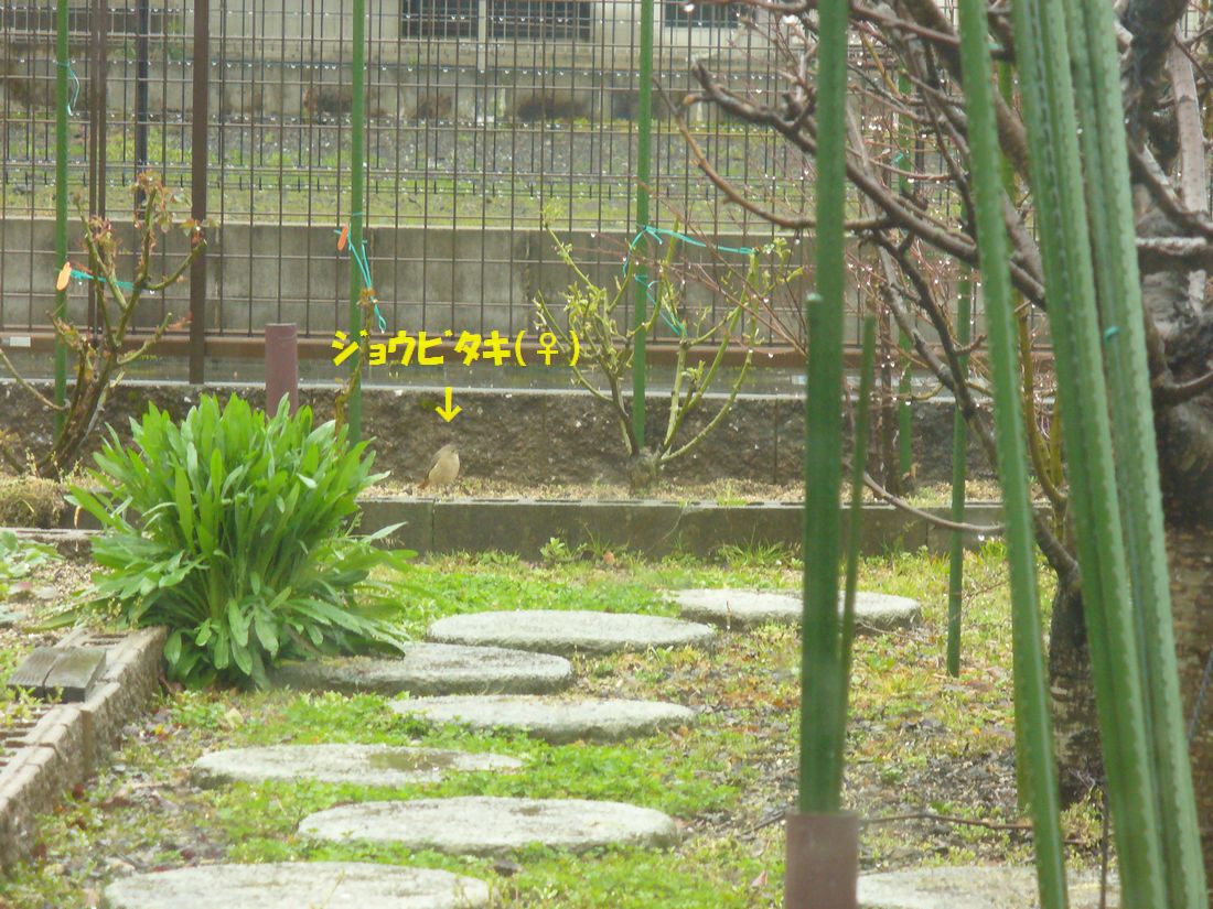 f0346527_21341971.jpg
