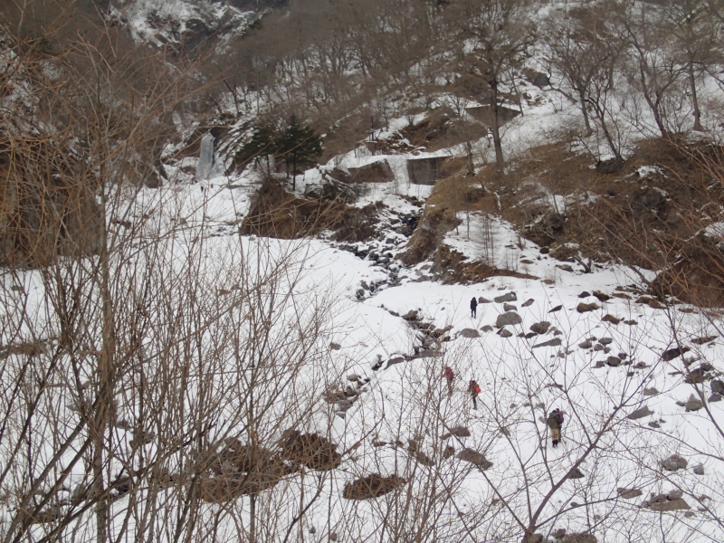 b0190242_1557519.jpg