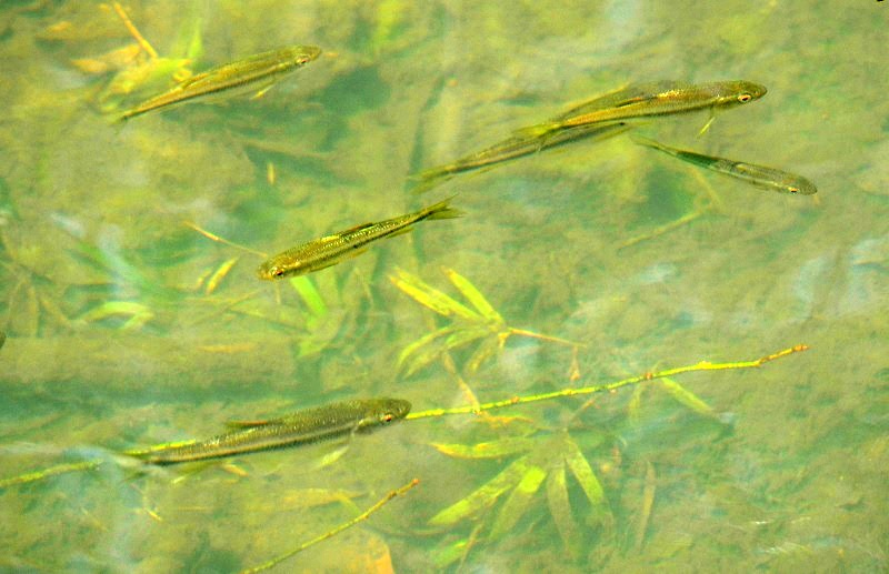 b0288942_929356.jpg