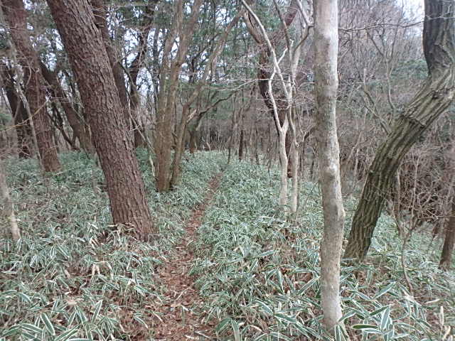 f0334143_8401985.jpg