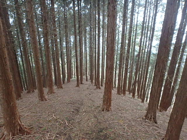 f0334143_8402765.jpg
