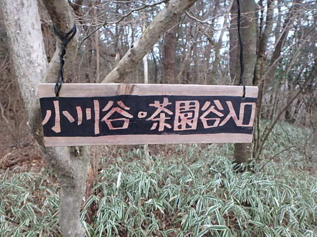 f0334143_840750.jpg