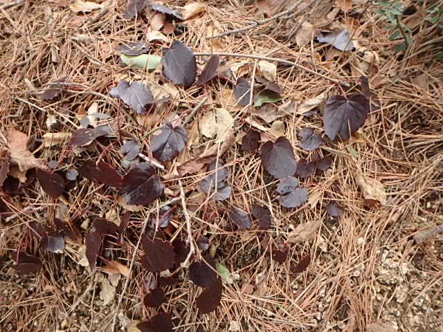 f0334143_8415375.jpg