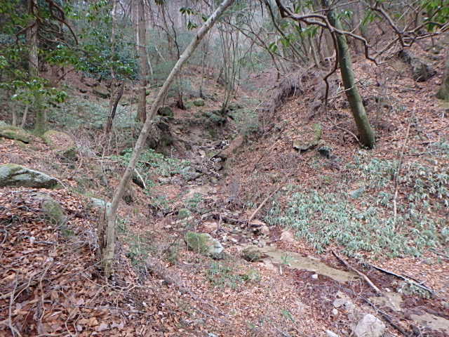 f0334143_8421379.jpg