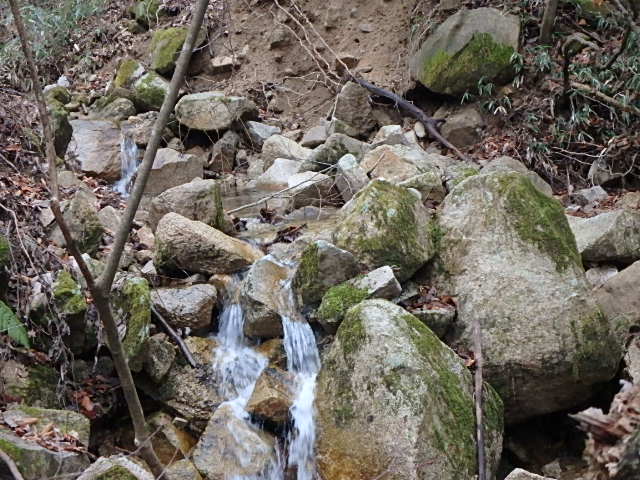 f0334143_8422984.jpg