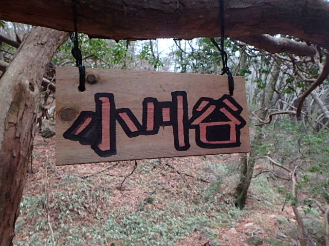 f0334143_842569.jpg